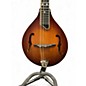 Used 2020s Gold Tone GM 55A Natural Mandolin