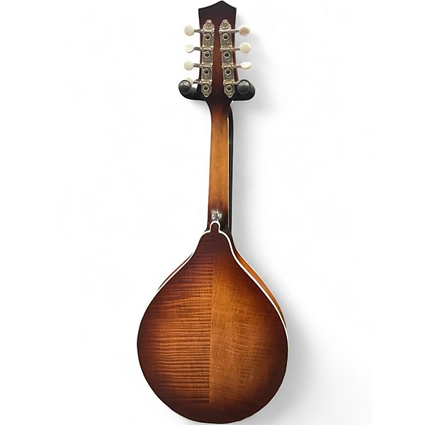 Used 2020s Gold Tone GM 55A Natural Mandolin