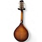 Used 2020s Gold Tone GM 55A Natural Mandolin