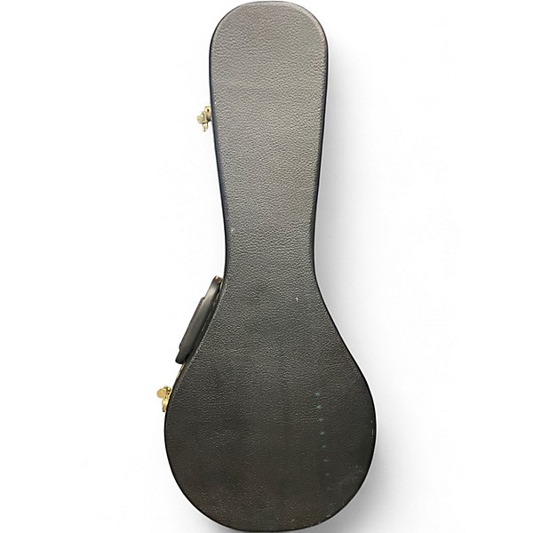 Used 2020s Gold Tone GM 55A Natural Mandolin