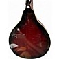 Used Stagg M50E Maroon Mandolin