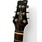 Used Edenhaus HH DOUBLECUT SUNBURST Solid Body Electric Guitar
