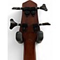 Used Gold Tone ME-Bass Mahogany Electric Bass Guitar