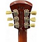 Used CMG Guitars ASHLEE DOUBLE CUT Tobacco Burst Solid Body Electric Guitar