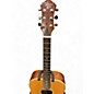 Used Michael Kelly V5 Natural Acoustic Guitar