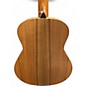 Used Taylor GS Mini Mahogany Mahogany Acoustic Guitar