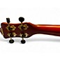 Used Luna VMS RDS Brown Ukulele