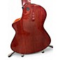 Used Veillette Avante Gryphon hightuned Sunburst 12 String Acoustic Electric Guitar