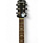 Used Breedlove Black Magic D25 Ebony Acoustic Electric Guitar
