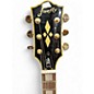 Used Firefly FFSP ELITE QUILT TOP Solid Body Electric Guitar