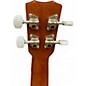 Used Cordoba 20TMCE Tenor Mahogany Ukulele