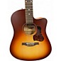 Used Seagull Dreadnought CW QIT AUTUMN BURST Acoustic Electric Guitar