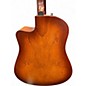 Used Seagull Dreadnought CW QIT AUTUMN BURST Acoustic Electric Guitar