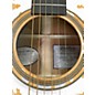 Used Breedlove Jeff Bridges Signature Concert Copper E 2 Color Sunburst Acoustic Guitar