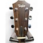 Used Taylor 117e Grand pacific Natural Acoustic Electric Guitar