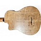 Used Kala Ubass Bass Spalted Maple Ukulele