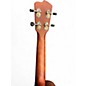Used Breedlove Pursuit Exotic CU Myrtle Wood Sunburst Ukulele