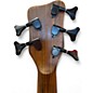 Used Warwick Thumb 5 String Bolt-On Walnut Electric Bass Guitar