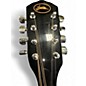 Used Bester M2 MANDOLIN 2 Color Sunburst Mandolin