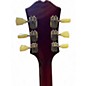 Used Epiphone FIGURED ES335 IG RASPBERRY TEA BURST Hollow Body Electric Guitar
