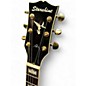 Used Starshine SSJ200 SUNBURST  Acoustic Electric Guitar