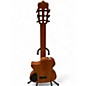 Used Cordoba Stage Edge Burst Classical Acoustic Electric Guitar