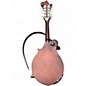 Used Epiphone F5 STUDIO Wine Red Mandolin