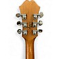 Used Epiphone Tom Delonge Signature ES-333 Royal Olive Hollow Body Electric Guitar