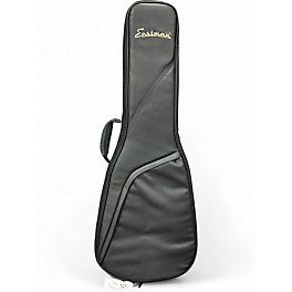 Used Eastman CASE Electric Guitar Case