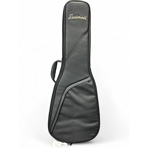 Used Eastman CASE Electric Guitar Case