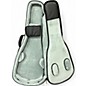 Used Eastman CASE Electric Guitar Case