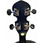 Used Gold Tone AC4 IT dark brown Banjo