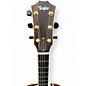 Used Taylor XXV-GA Natural Acoustic Guitar