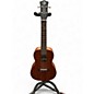 Used Luna Tatoo Ukulele Mahogany Ukulele thumbnail