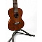 Used Luna Tatoo Ukulele Mahogany Ukulele