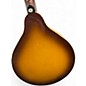 Used Savannah Mandolin 2 Tone Sunburst Mandolin
