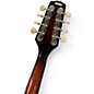 Used Flinthill A STYLE MANDOLIN 2 Color Sunburst Mandolin