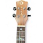 Used Luna HIGH TIDE CONCERT KOA Natural Ukulele
