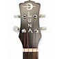 Used Luna Concert Tattoo Mahogany Ukulele