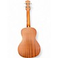 Used Luna Concert Tattoo Mahogany Ukulele