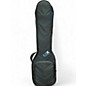 Used Reunion Blues rbx double bass guitar gig bag Electric Bass Gig Bag thumbnail