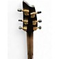 Used Breedlove CN SABLE CE GREEN Acoustic Guitar
