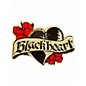 Used Blackheart BH112 75W 1X12 Guitar Cabinet