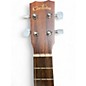 Used Cordoba UP100 Natural Ukulele
