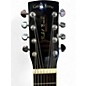 Used Gold Tone PAUL BEARD SIGNATURE 3 Tone Sunburst Resonator Guitar