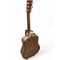 Used Martin D-X2 Bust Acoustic Guitar