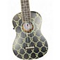 Used Fender billie eilish Black Ukulele
