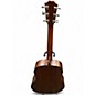 Used Taylor 317 Grand Pacific natural Acoustic Guitar