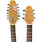 Used Cort DN-1 Natural Solid Body Electric Guitar