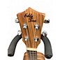 Used Eddy Finn EF-PNAPL  Natural Ukulele